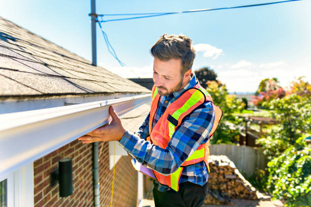 Best Roof Moss and Algae Removal  in Oakleaf Plantation, FL